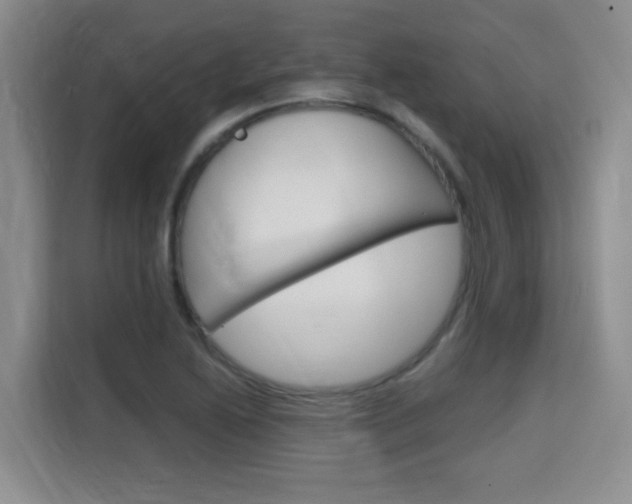 X0000115701222200911191223