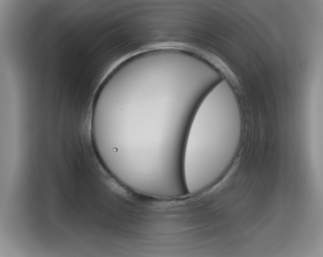 X0000115701228200911191223