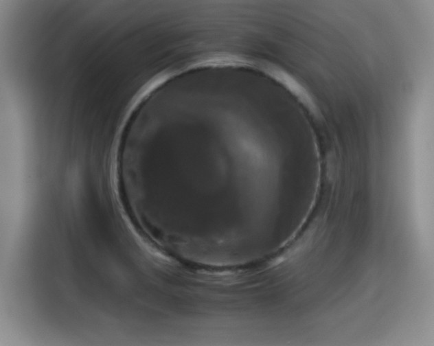 X0000115701229200911191223