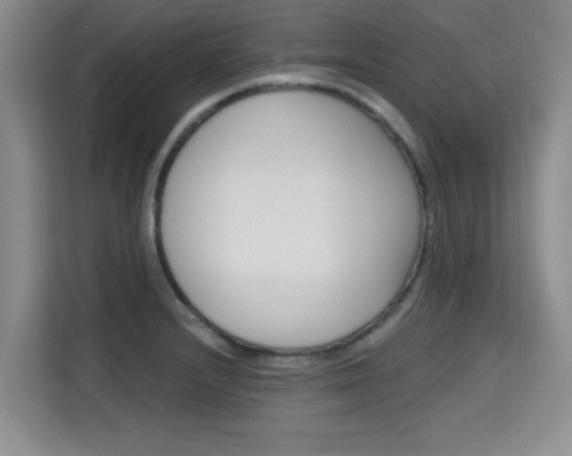 X0000115701232200911191223