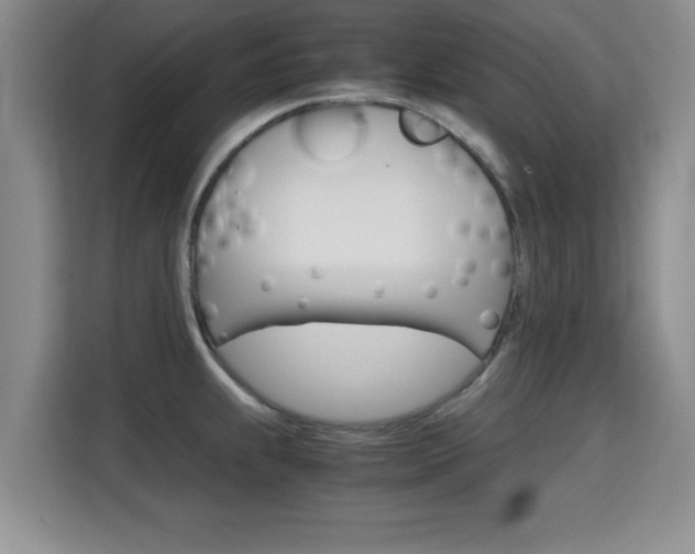 X0000115701239200911191223