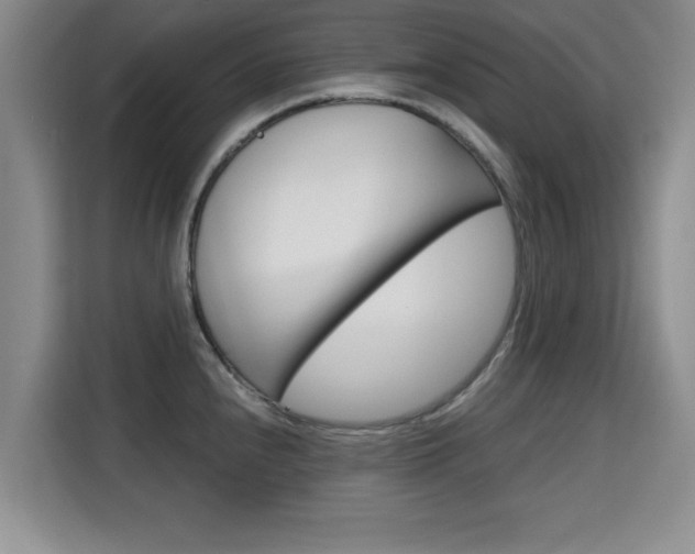 X0000115701240200911191223