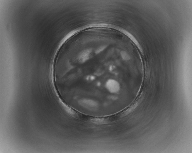 X0000115701245200911191223