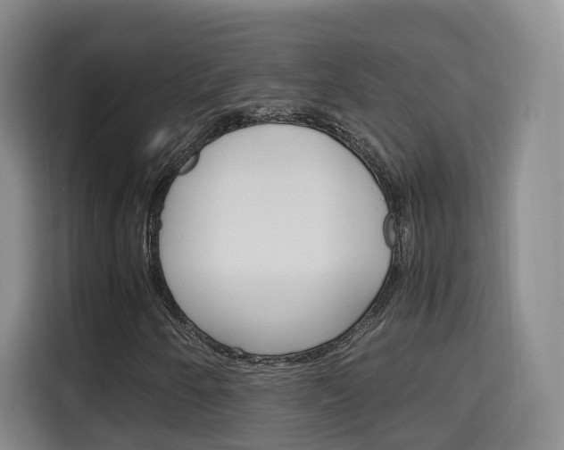 X0000115701250200911191222