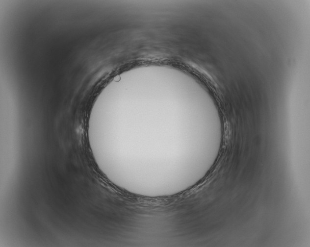 X0000115701254200911191222