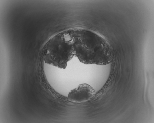 X0000115701255200911191222