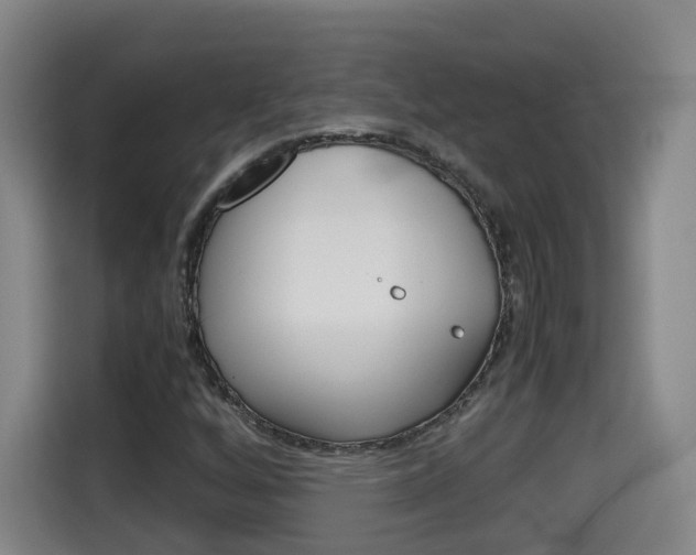 X0000115701256200911191222