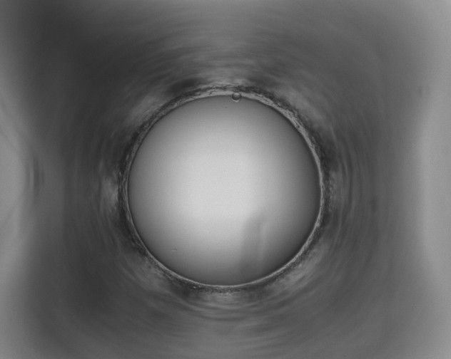 X0000115701257200911191222