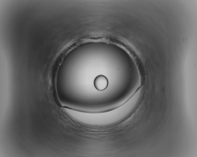 X0000115701261200911191222