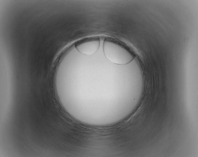 X0000115701262200911191222