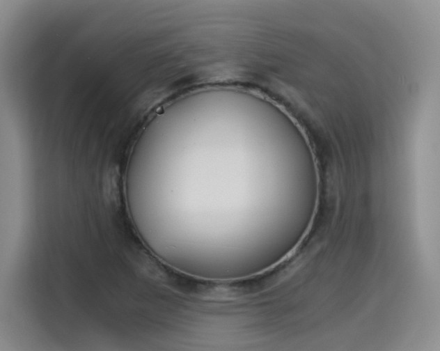 X0000115701265200911191222