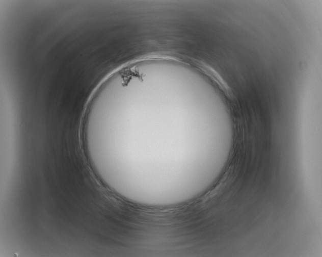 X0000115701268200911191222