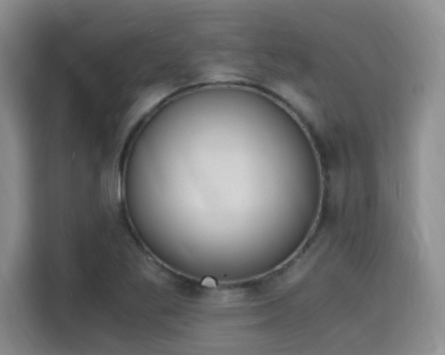 X0000115701269200911191222