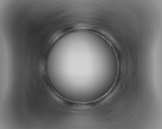 X0000115701273200911191222