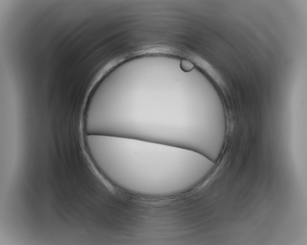 X0000115701282200911191222