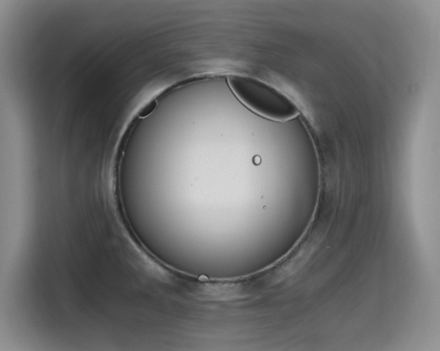 X0000115701285200911191222