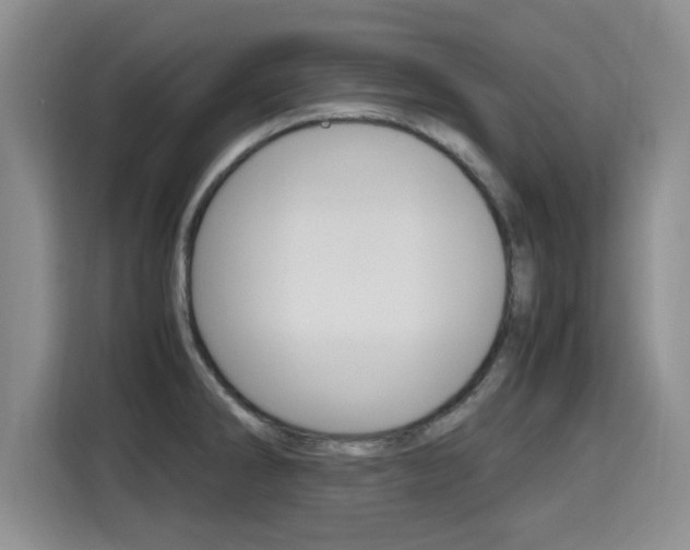 X0000115701286200911191222