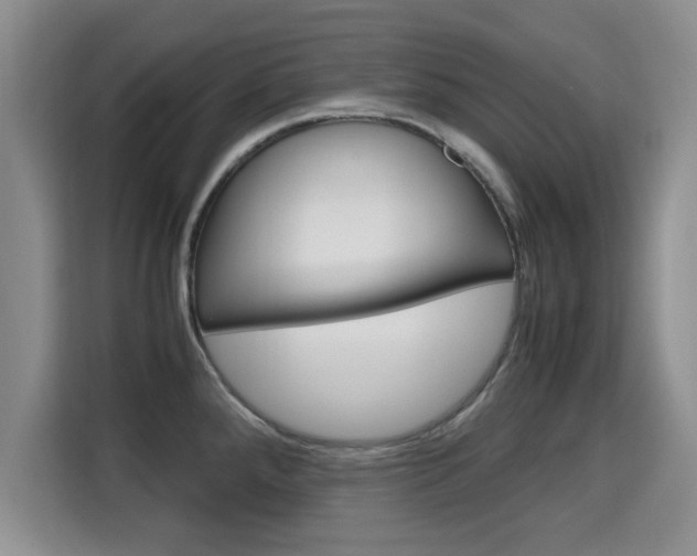 X0000115701288200911191222