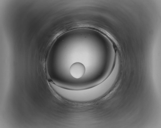 X0000115701289200911191222