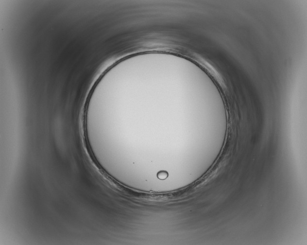 X0000115701291200911191222