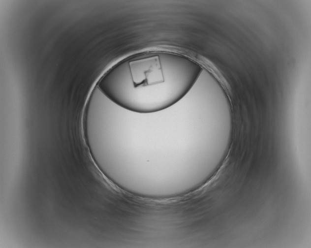 X0000115701292200911191222