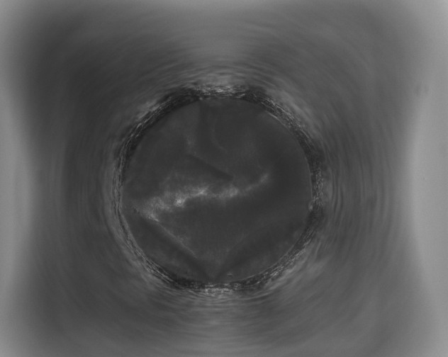 X0000115701297200911191221