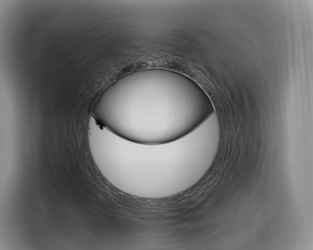 X0000115701298200911191221