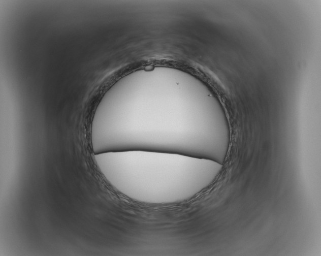 X0000115701303200911191221