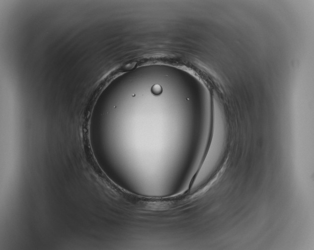 X0000115701305200911191221