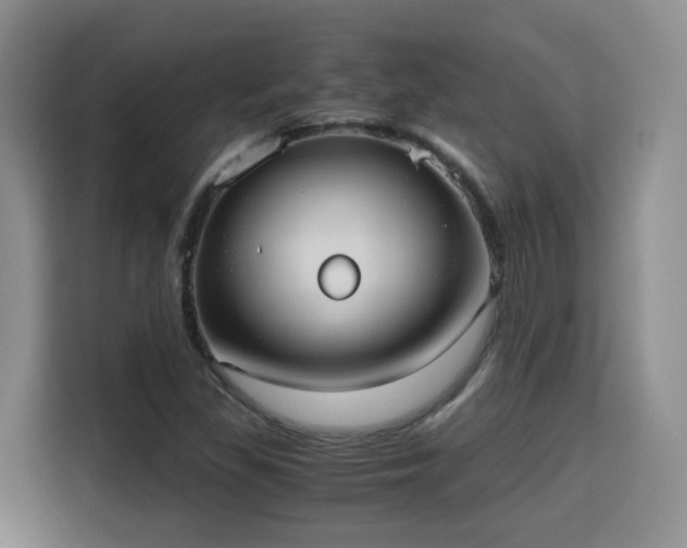 X0000115701309200911191221