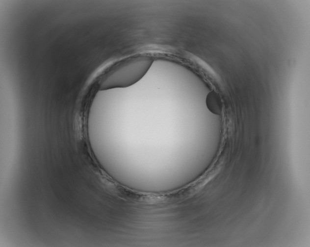 X0000115701310200911191221