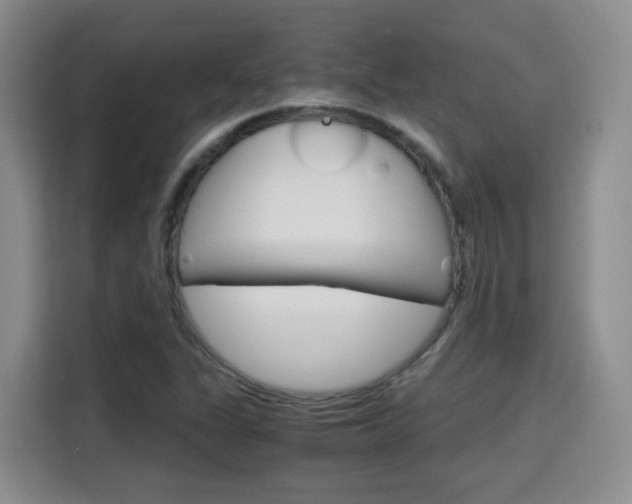 X0000115701311200911191221