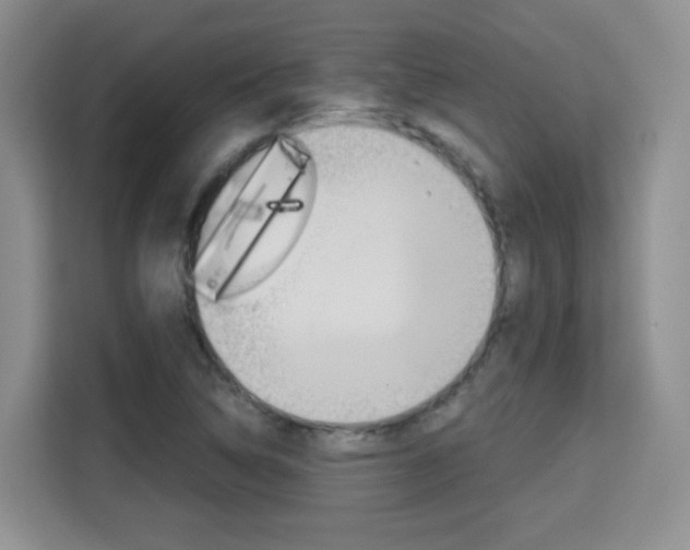 X0000115701314200911191221