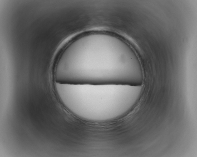 X0000115701319200911191221