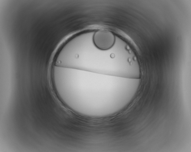 X0000115701323200911191222