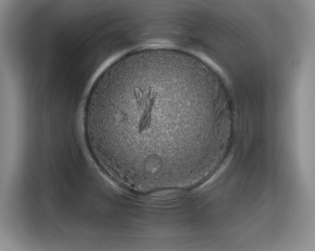 X0000115701325200911191222