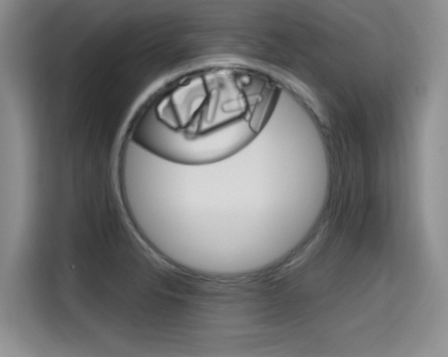 X0000115701326200911191222