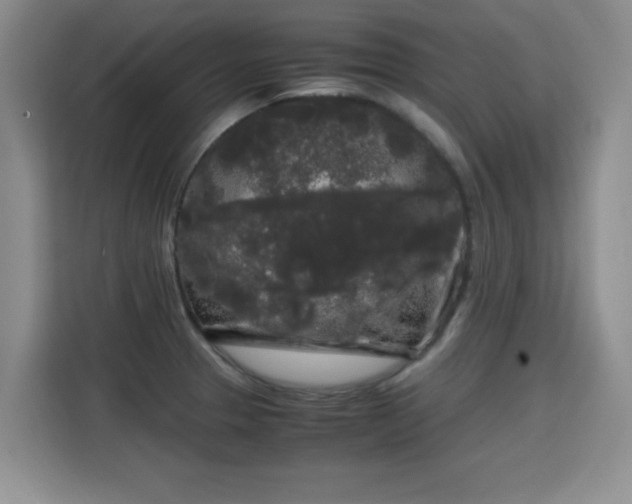 X0000115701329200911191222