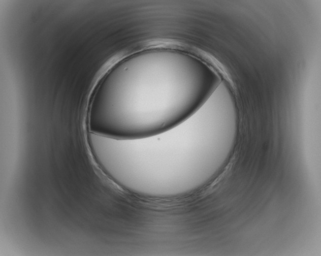 X0000115701330200911191222