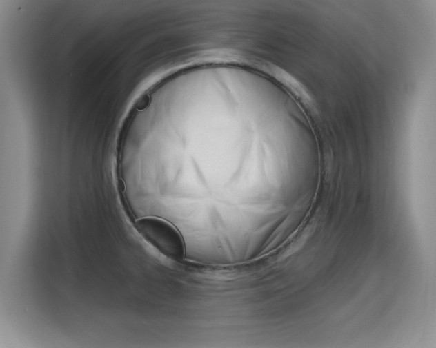 X0000115701334200911191222