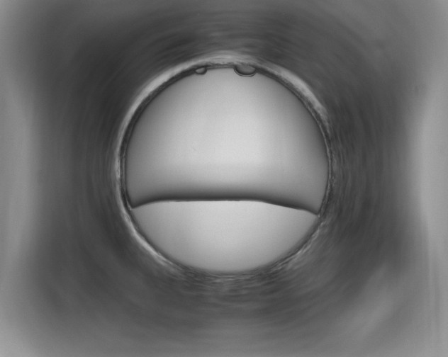 X0000115701335200911191222