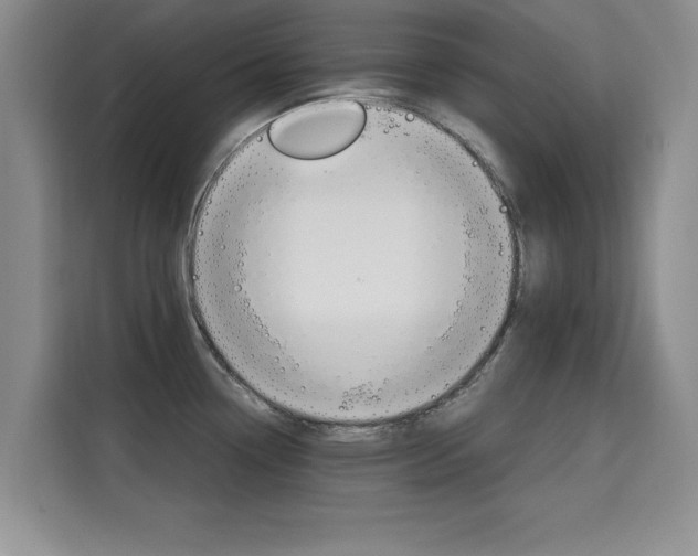 X0000115701338200911191222