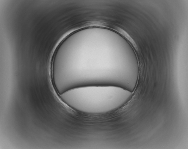 X0000115701339200911191222