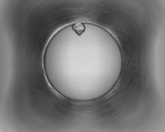 X0000115701342200911191222