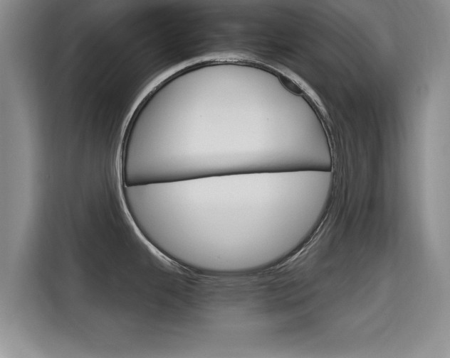 X0000115701343200911191222