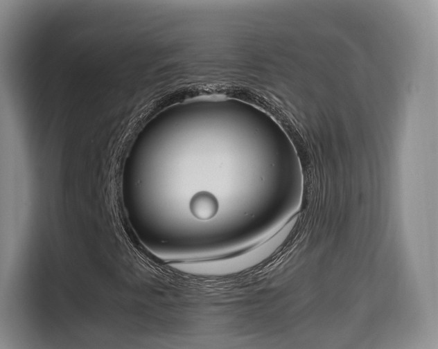 X0000115701345200911191221