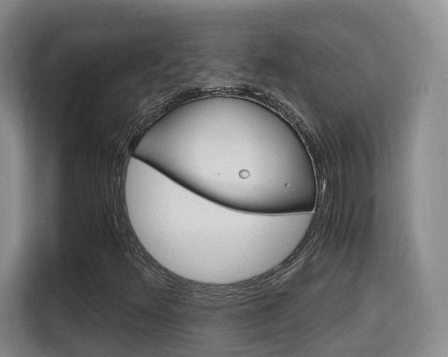 X0000115701348200911191221