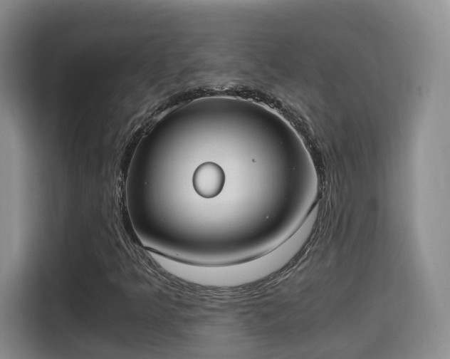 X0000115701349200911191221