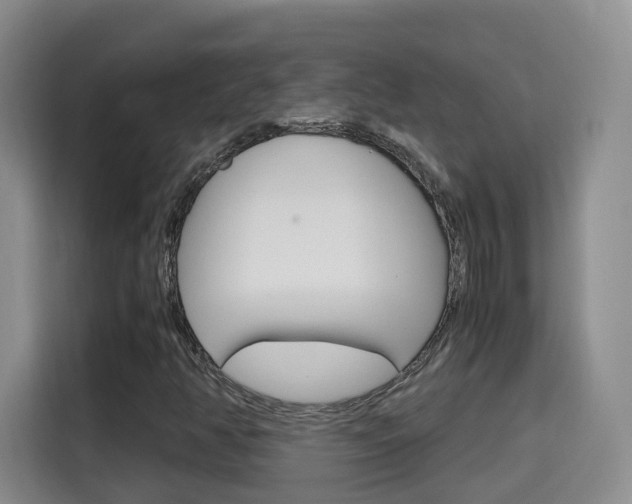 X0000115701350200911191221