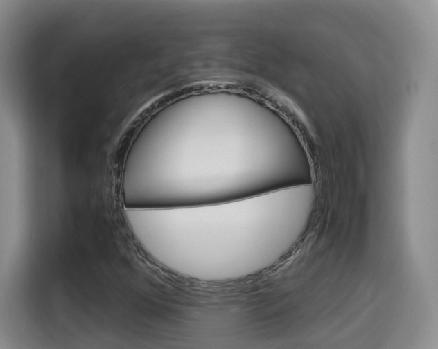 X0000115701352200911191221